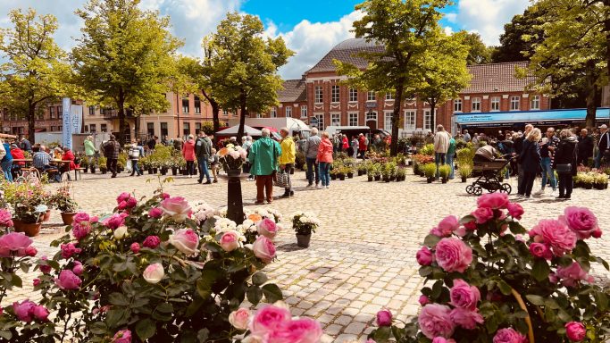 Rosenmarkt Norden
